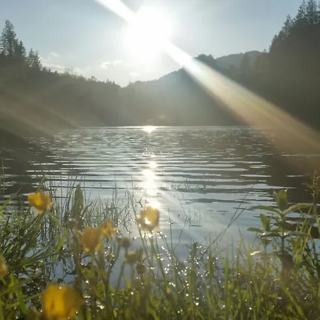 Tarski Dom Cabană *