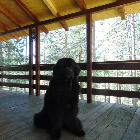 Tarski Dom Cabană *