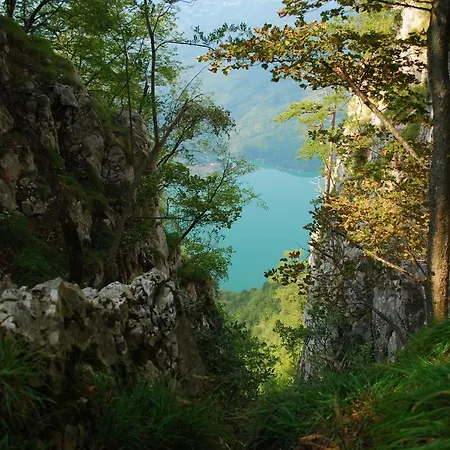 Tarski Dom Cabană *