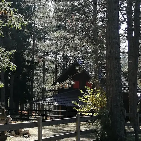 Tarski Dom Zaovine