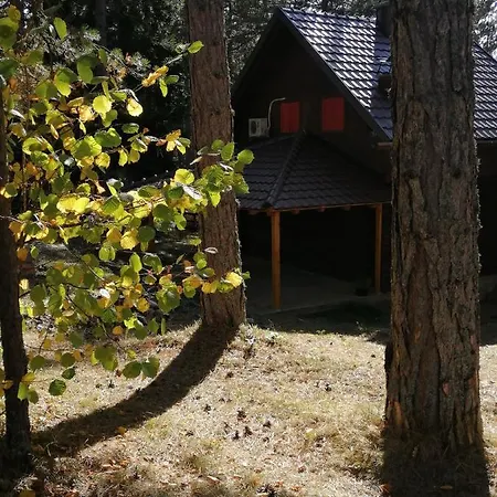 Cabană Tarski Dom Zaovine